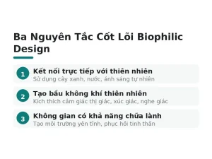 Ba Nguyên Tắc Cốt Lõi Biophilic Design