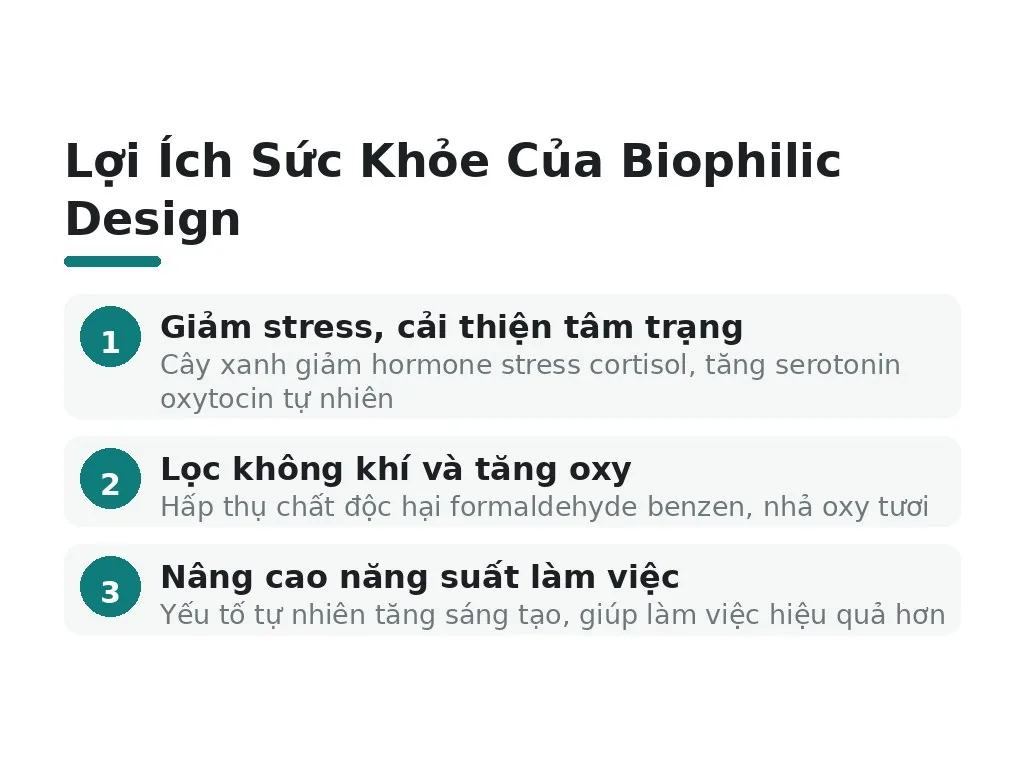 Thiết Kế Biophilic Mang Lại Lợi Ích Sức Khỏe Gì?