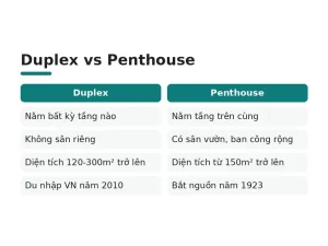Duplex vs Penthouse