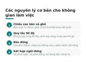 Các nguyên lý cơ bản cho không gian làm việc