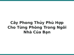Cây Phong Thủy Phù Hợp Cho Từng Phòng Trong Ngôi Nhà Của Bạn