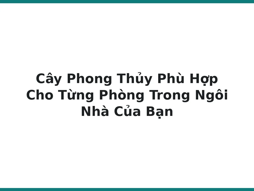 Cây Phong Thủy Phù Hợp Cho Từng Phòng Trong Ngôi Nhà Của Bạn